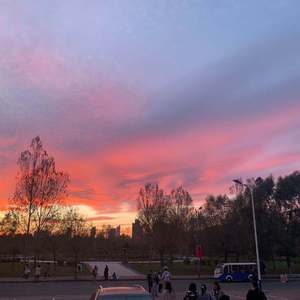 美女不穿衣服一丝不挂录象视频
